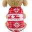 Christmas Inspired Dog Costumes & Outfits