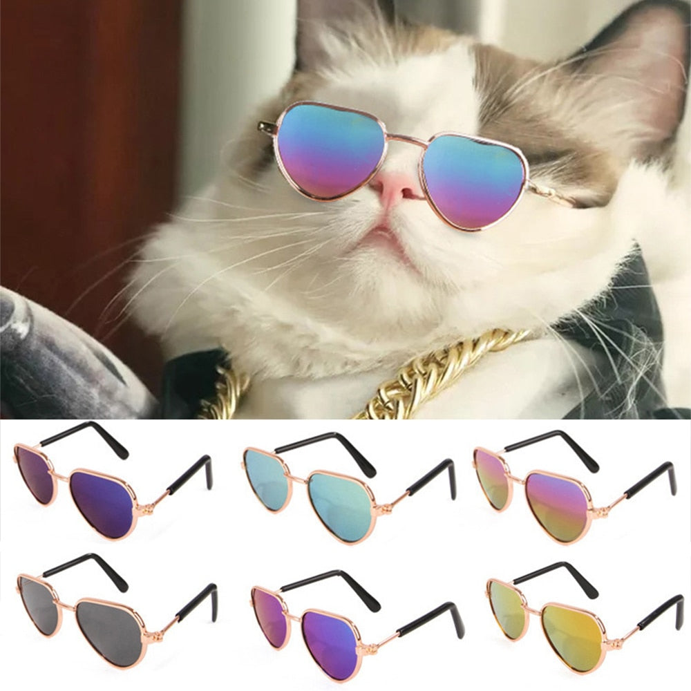 An image of a cat wearing the blue and pink Vintage Round Sunglasses sold by Saint N Mike.
